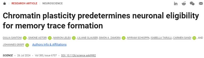 Science｜新研究揭示表观遗传学如何影响哺乳动物记忆形成
