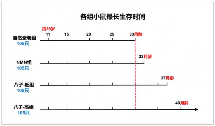 侯云龙教授：以临床价值为导向的抗衰老中药研究取得新进展