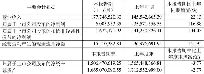 网达软件：2024年上半年盈利600.60万元 同比扭亏