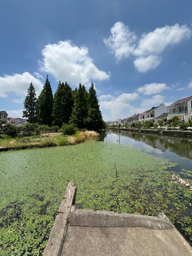 赞！金山这个村被市里专家称为“活标本”！