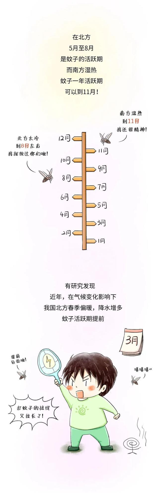 咬你的蚊子变多了？和天气气候有关系吗？