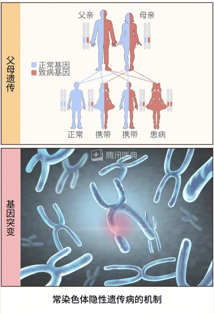 ​怀孕7个月，全网劝她打胎！牵出一桩错判59年的冤案