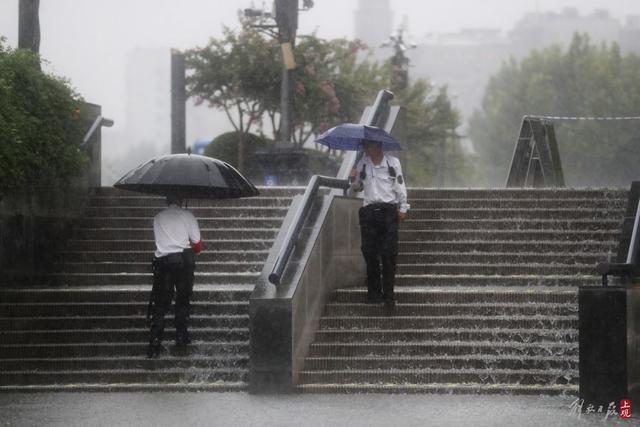 “一橙两黄一蓝”上海四预警高挂！这场暴雨能为申城带来降温吗？