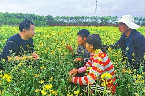 王强众：一粒米为何这么酷