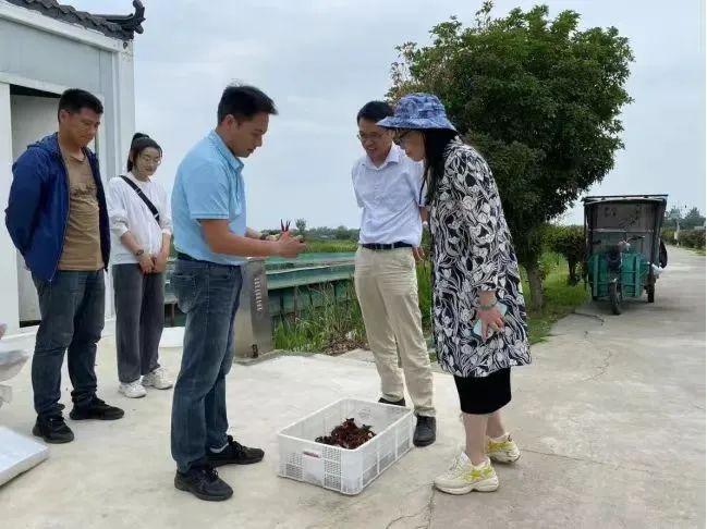 家国情·奋斗正当时丨益生菌不止可以生产酸奶？她把微生物打造成“跨界高手”