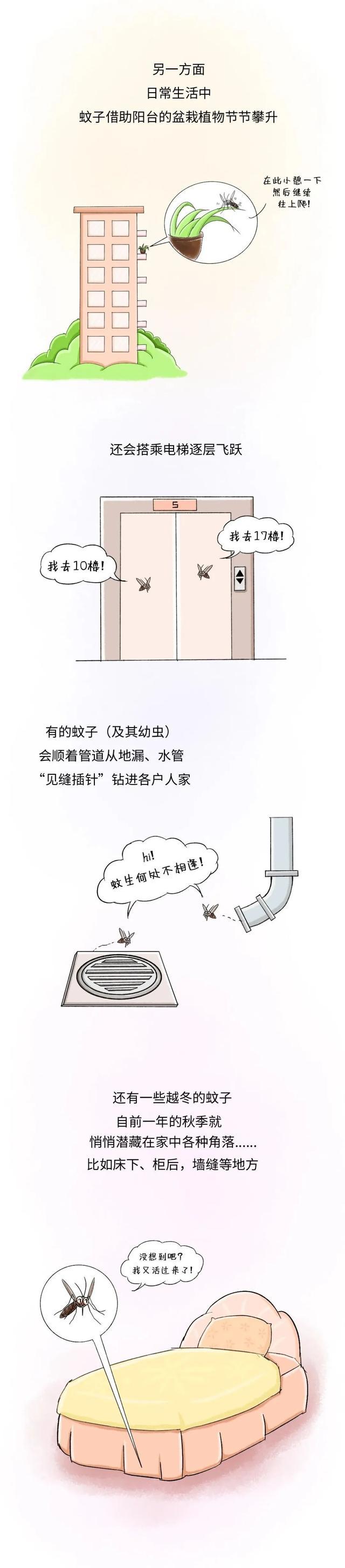 咬你的蚊子变多了？和天气气候有关系吗？