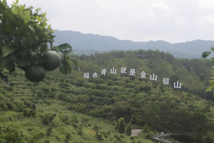 从“火焰山”到“花果山” 汀江国家湿地公园生动展示水土流失治理“长汀经验”