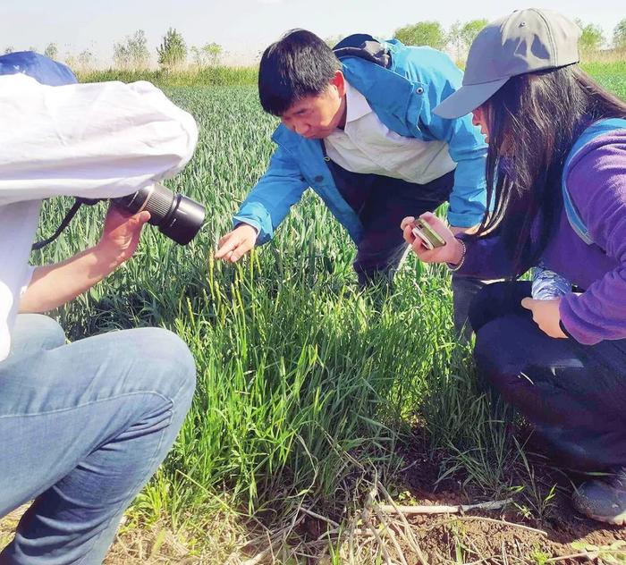 【聚焦】2506件植物标本，“住进”自然博物馆！