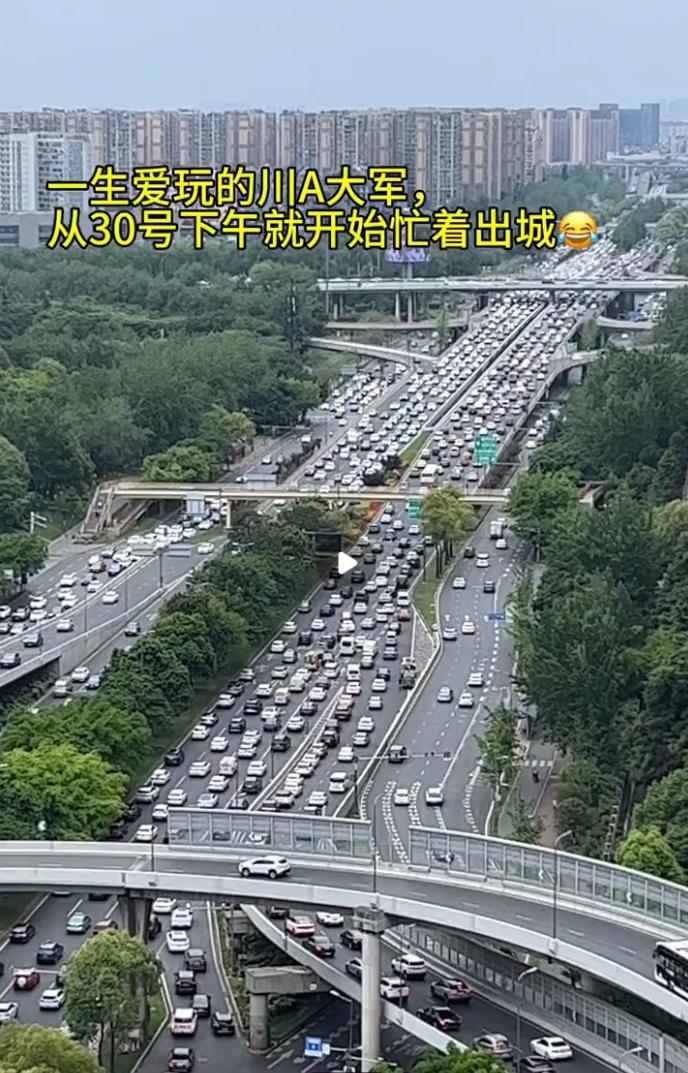 大量川A现身巴黎街头：成都人怎么买了那么多汽车？