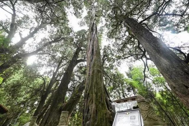 跟着总书记探寻古籍里的生态文化（人民日报）