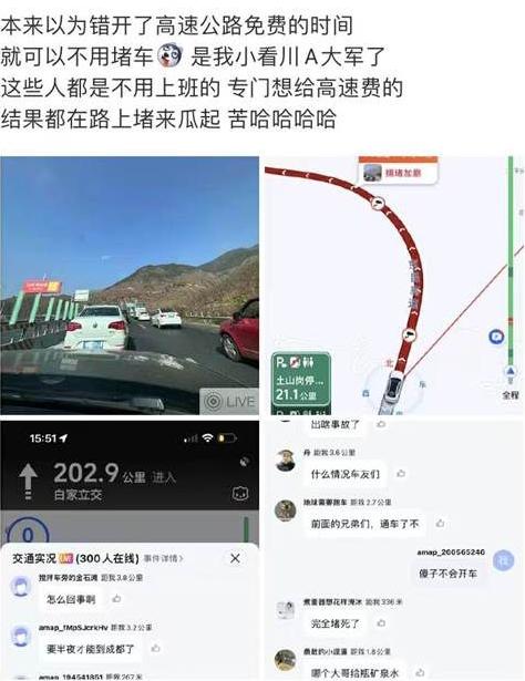 大量川A现身巴黎街头：成都人怎么买了那么多汽车？