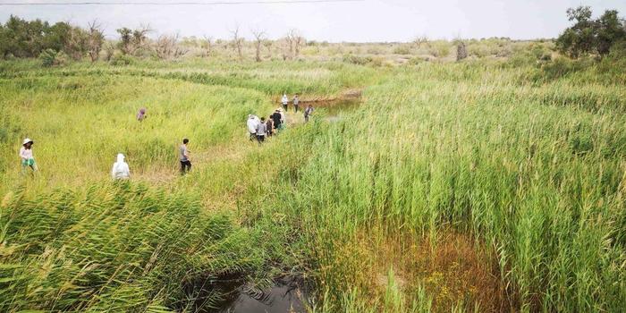 “走进夏尔西里无人区”——中国科学探险协会新疆阿拉套山综合科学考察野外工作圆满完成