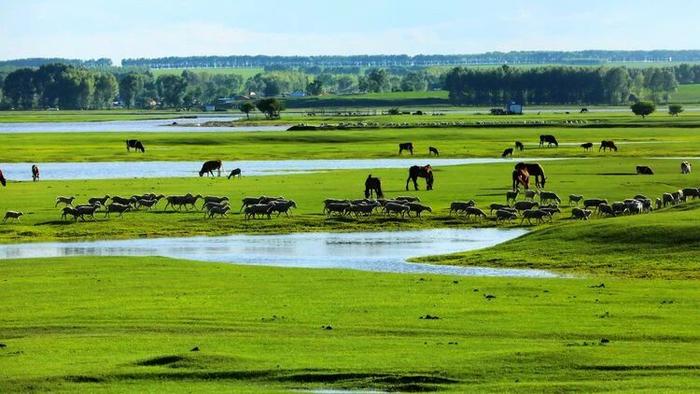 一位位“流动的哨兵”、一群群“有生命的界碑”，共同筑起边关之固……