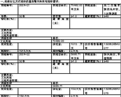 邱县自然资源和规划局国有土地使用权拍卖出让公告