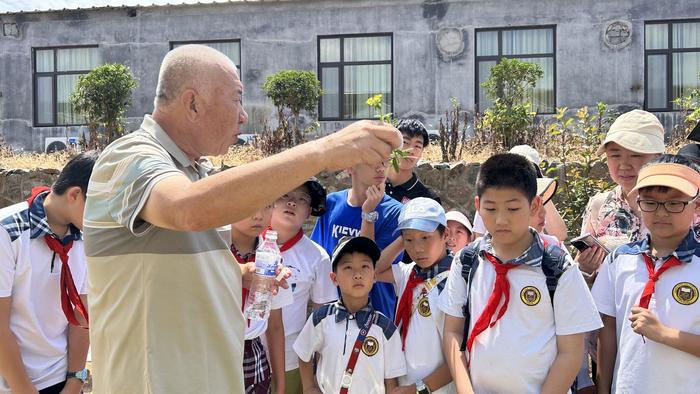 探索宝藏“百草园”！青岛大学路小学新设“中医药研学实践基地”！