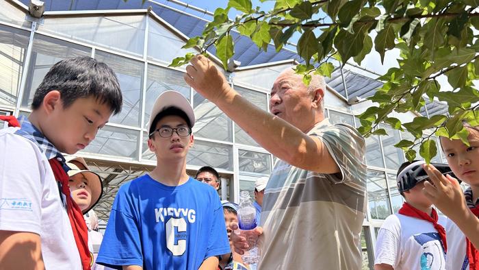 探索宝藏“百草园”！青岛大学路小学新设“中医药研学实践基地”！