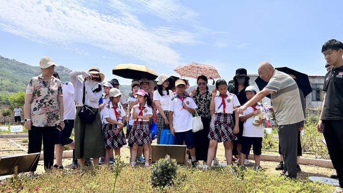 探索宝藏“百草园”！青岛大学路小学新设“中医药研学实践基地”！