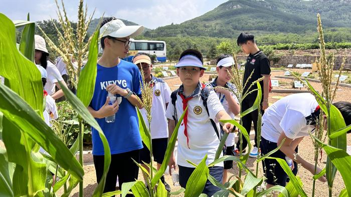 探索宝藏“百草园”！青岛大学路小学新设“中医药研学实践基地”！