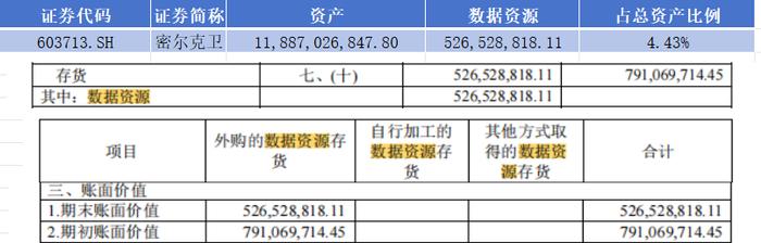 2024半年报｜已有三家上市公司入表数据资源金额破亿元，最高超5亿