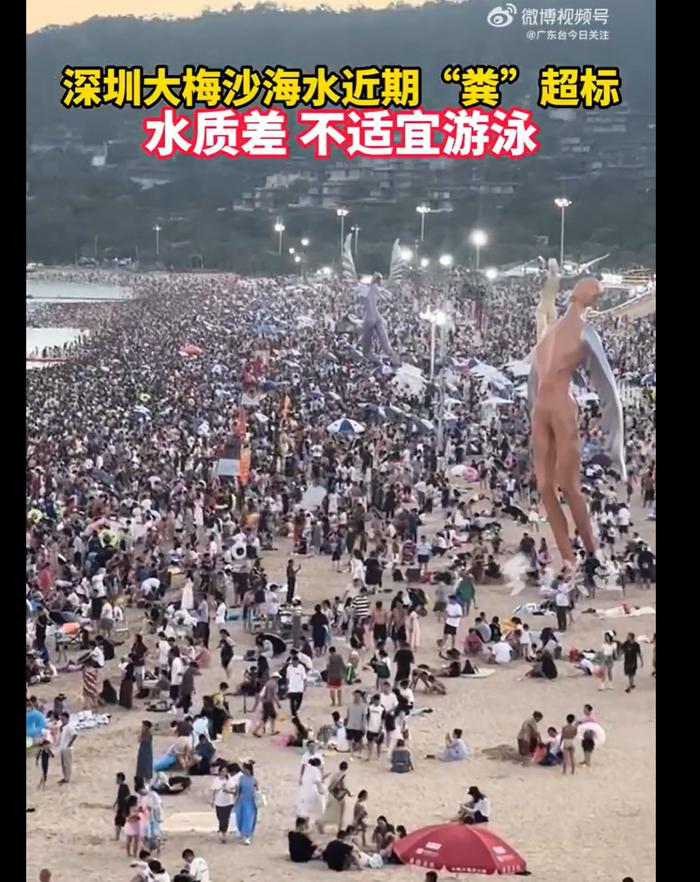 知名海水浴场粪大肠菌群超标，单日人流量高峰达19万人次！当地回应：有两方面原因