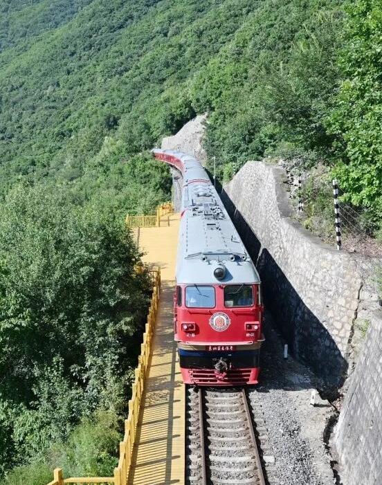 这个暑期上新的旅游专列，运营情况如何