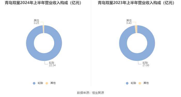 青岛双星：2024年上半年亏损5709.69万元