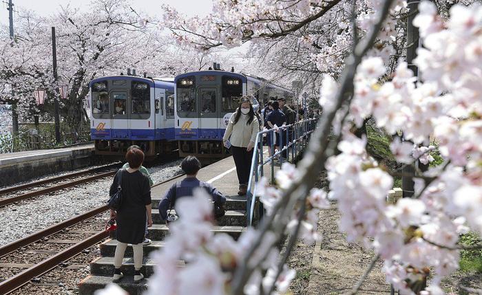 日本大地震预警，劝退火爆的赴日旅游了吗？