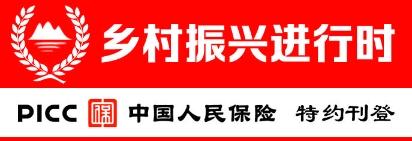 【乡村振兴进行时】瓜菜飘香产业兴 金融出招产业旺