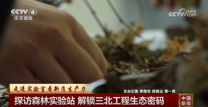 解锁“三北”工程生态密码 科技为生态保护插上“智慧的翅膀”