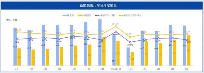 威尔森：2024年6月新能源汽车行业月报