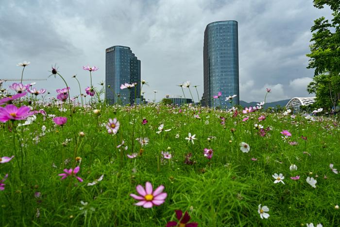 时光相册丨再现“清水塘”：一个老工业基地的生态蝶变