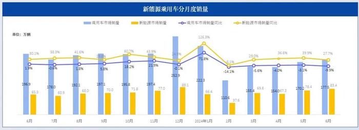 威尔森：2024年6月新能源汽车行业月报