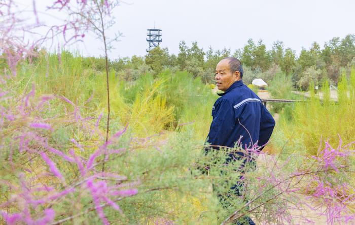 兵团榜样 | 王先华：在大漠中守护绿色奇迹