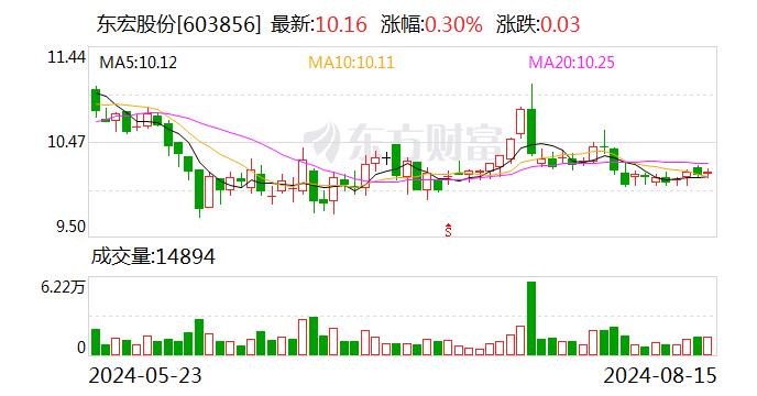 东宏股份：公司2024年半年度报告将于2024年8月21日发布