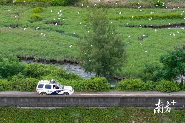 视频丨这个川妹子在祖国大陆最南端当守“木头”的人