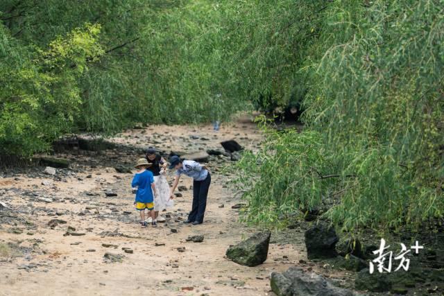 视频丨这个川妹子在祖国大陆最南端当守“木头”的人