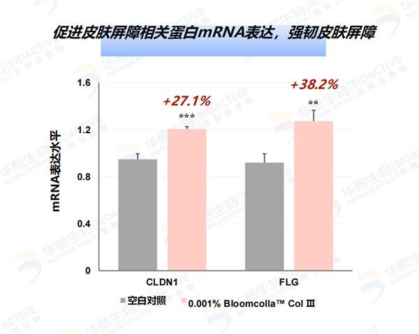 华熙生物揭秘：胶原蛋白如何更有效地被皮肤吸收与利用