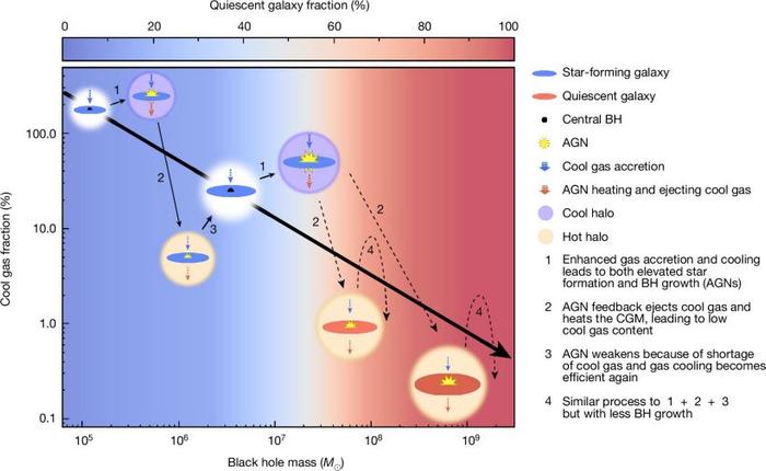 解开困扰天文学界半个世纪的谜题，我国科学家首次提供星系中心黑洞影响冷气体含量的直接证据