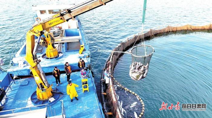 【视觉】炎炎夏日,甘肃各地“水上经济”激活力