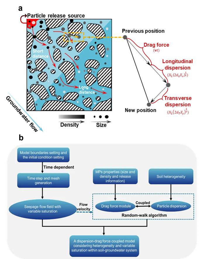 【技术交流】上海大学魏亚强、李辉团队ES&T封面：微塑料在土壤和地下水中的迁移模型——对粒子弥散和颗粒特性影响的新见解