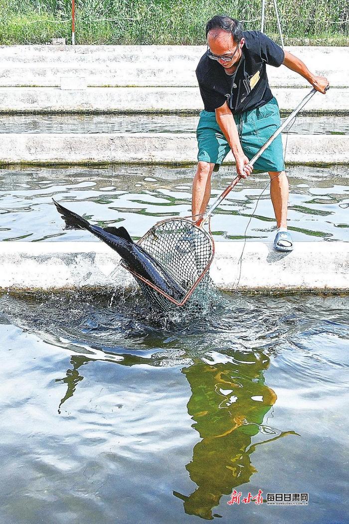 【视觉】炎炎夏日,甘肃各地“水上经济”激活力