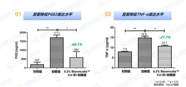 华熙生物揭秘：胶原蛋白如何更有效地被皮肤吸收与利用