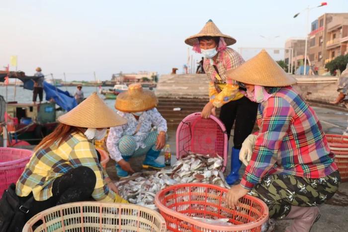 开渔在即！昌江人的“海鲜自由”安排上