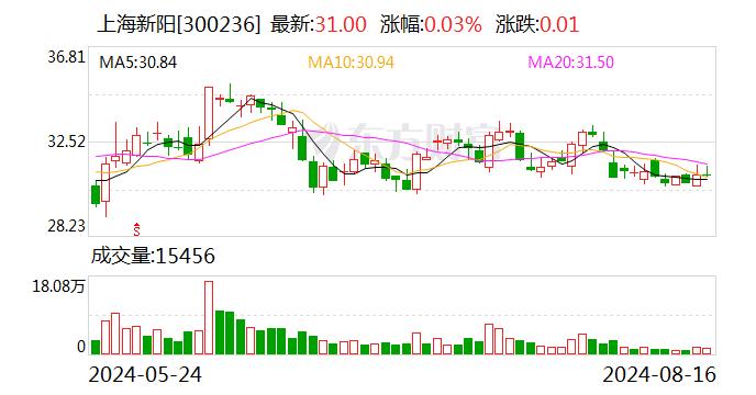 上海新阳：2024年半年度净利润约5890万元 同比下降32.14%