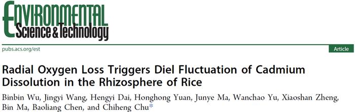 【技术交流】 浙江大学土壤团队ES&T：水稻根泌氧促进土壤镉释放