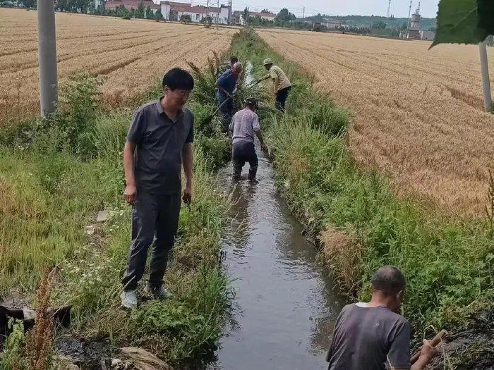 深耕农业 建设家乡 他奏响乡村振兴“奋进曲”