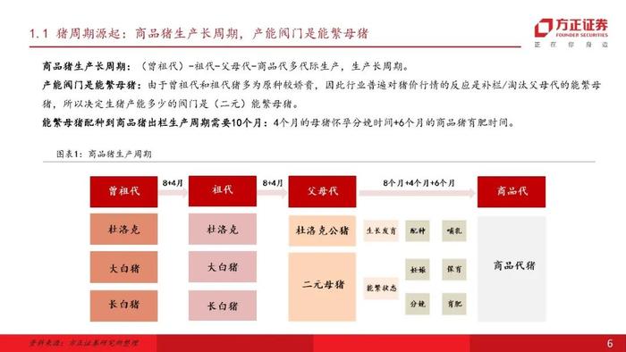 【方正农业】猪周期有公式：周期七阶段与拐点三要素