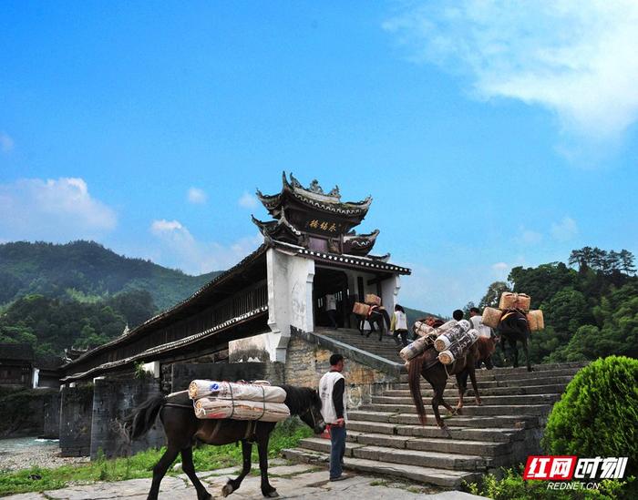 暑游安化好时光丨溯溪避暑，这份清凉旅行攻略请收好！