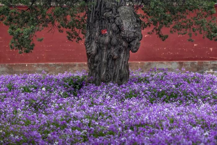 “生态东城 城市花园”摄影展举行开幕仪式