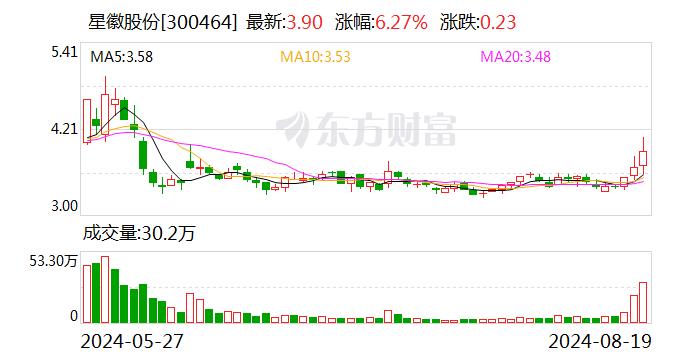 星徽股份：2024年半年度净利润约935万元